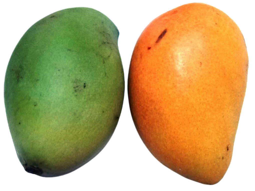 Aarogya Agro